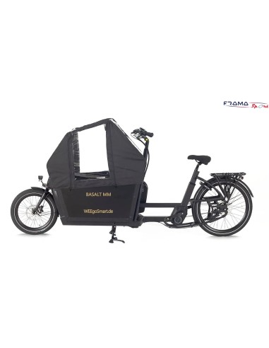 Weegosmart CargBa a pedalata assistita 250w